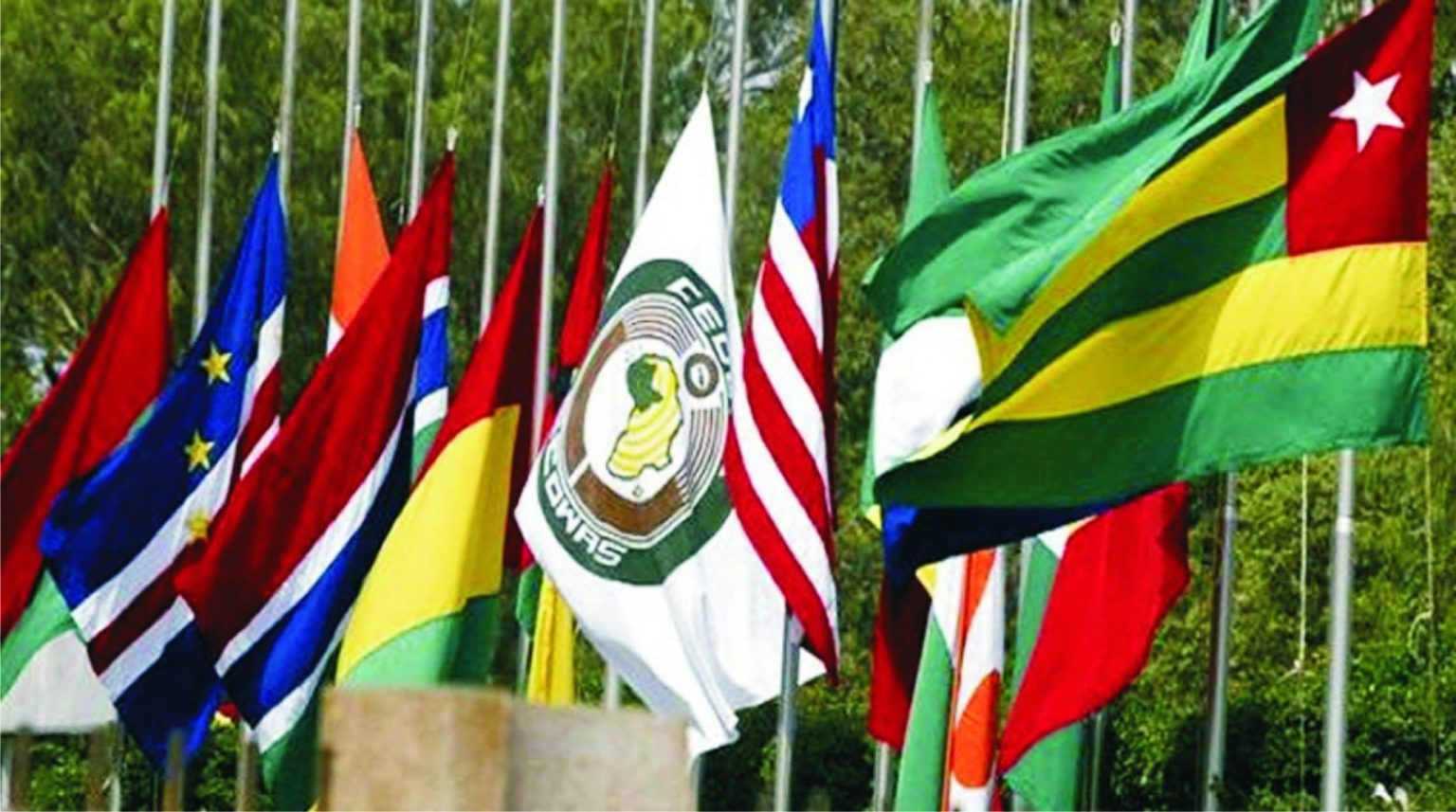 ECOWAS Rejects Claims of Christian Genocide in Nigeria