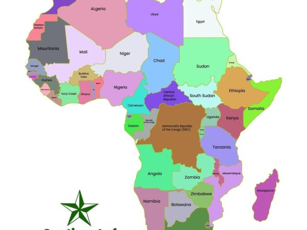 African leaders meeting in Zambia have declared that the continent must take charge of its own future